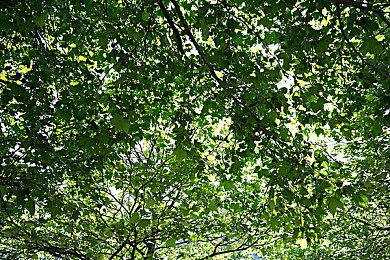 《辐射4》Steam同时在线峰值超过了9万